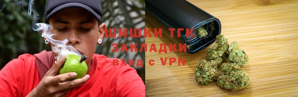шишки Саяногорск
