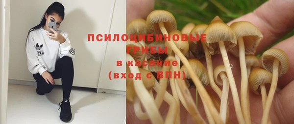 трава Баксан