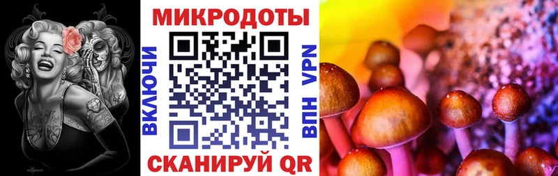 Купить где Байкальск Галлюциногенные грибы Psilocybe